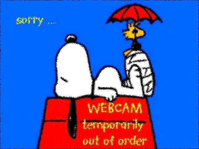 Webcam