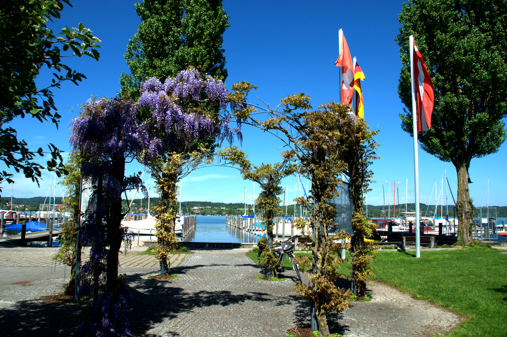 Reichenau